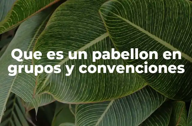 Que es un Pabellon en Grupos y Convenciones 2 La importancia de los pabellones en eventos multiculturales