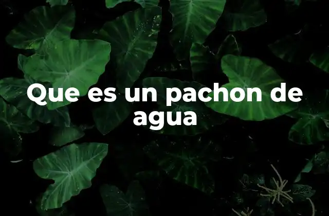 Que es un Pachon de Agua