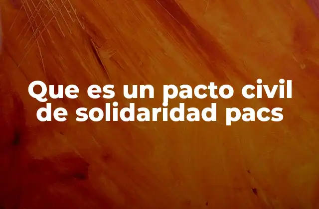 Que es un Pacto Civil de Solidaridad Pacs