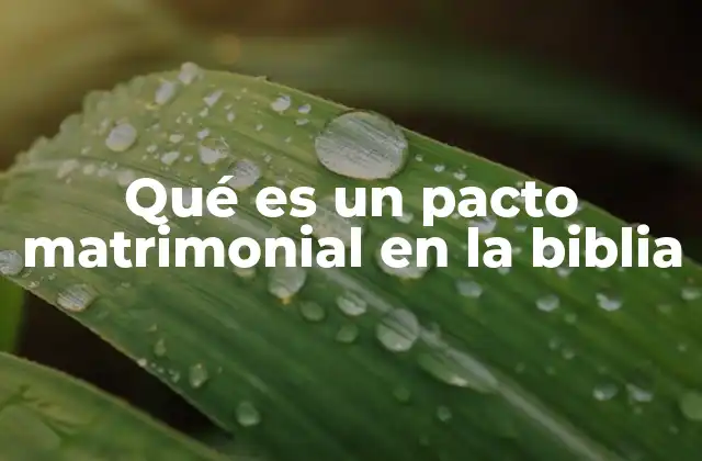 Qué es un Pacto Matrimonial en la Biblia