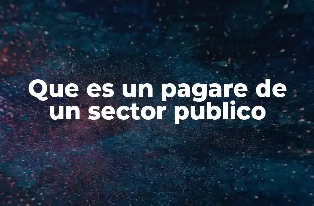 Que es un Pagare de un Sector Publico