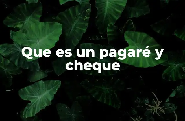 Que es un Pagaré y Cheque