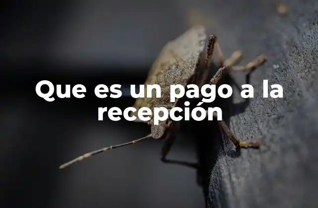 Que es un Pago a la Recepción