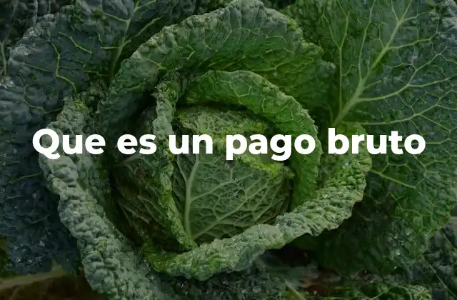 Que es un Pago Bruto
