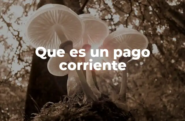 Que es un Pago Corriente