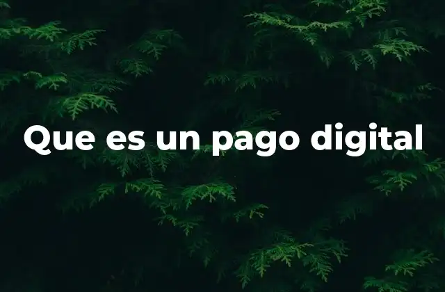 Que es un Pago Digital