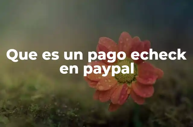 Cómo funciona el sistema de pagos eCheck en PayPal