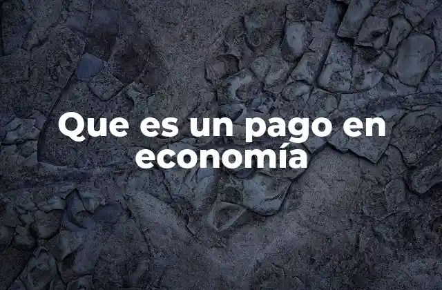Que es un Pago en Economía