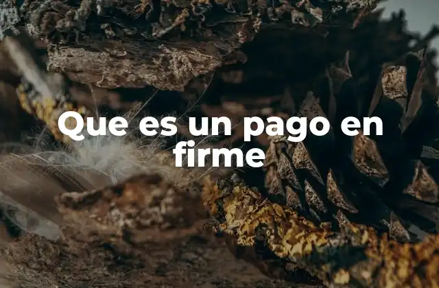 Que es un Pago en Firme