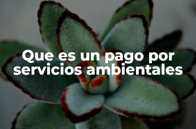 Que es un Pago por Servicios Ambientales