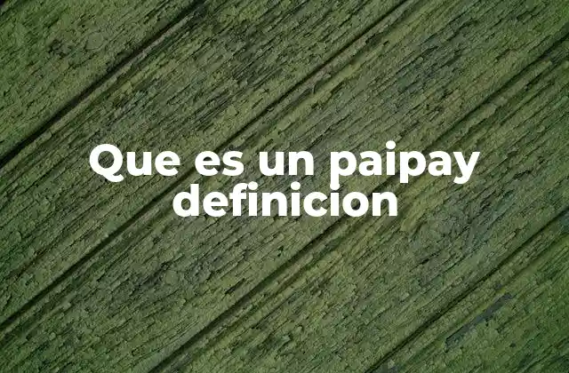 Que es un Paipay Definicion