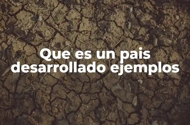 Que es un Pais Desarrollado Ejemplos