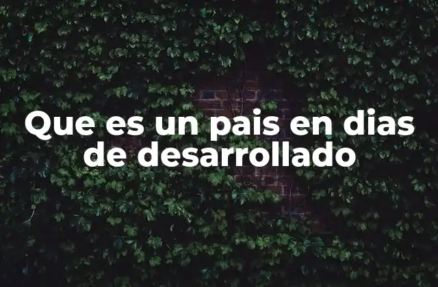 Que es un Pais en Dias de Desarrollado