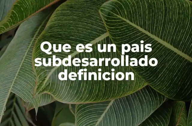 Que es un Pais Subdesarrollado Definicion