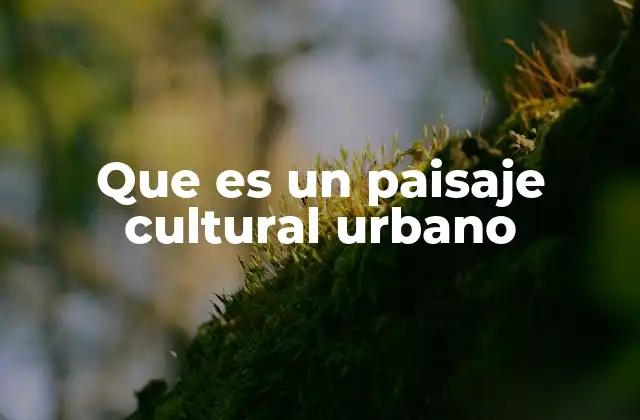 Que es un Paisaje Cultural Urbano