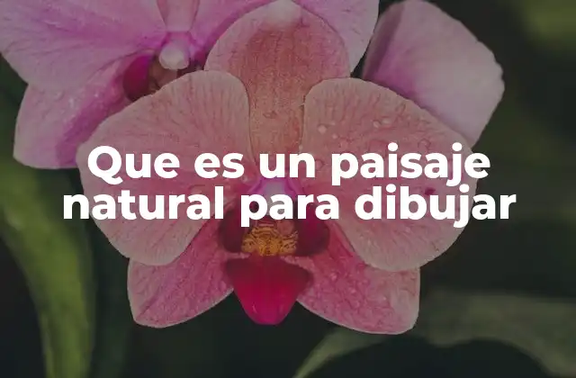 Que es un Paisaje Natural para Dibujar