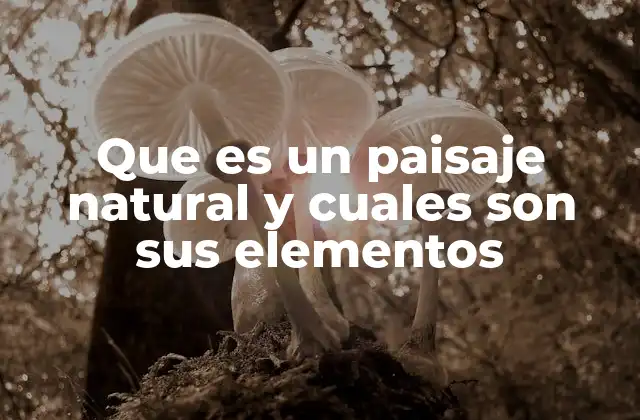 Que es un Paisaje Natural y Cuales Son Sus Elementos