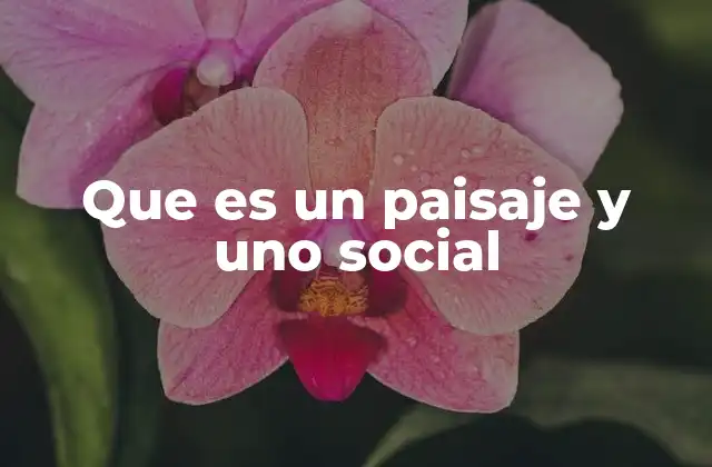 Que es un Paisaje y Uno Social