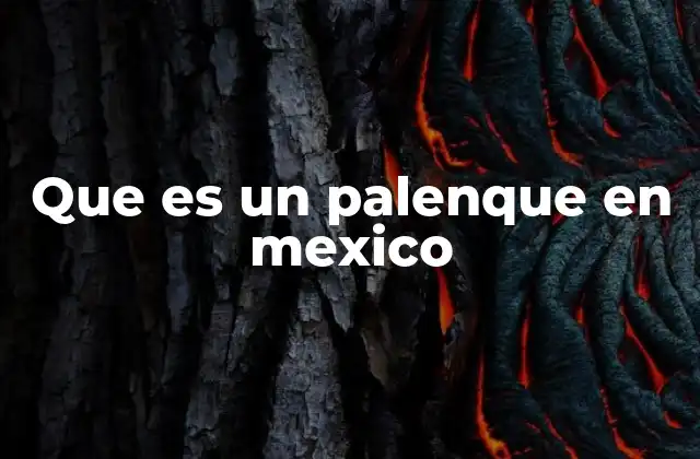 Que es un Palenque en Mexico