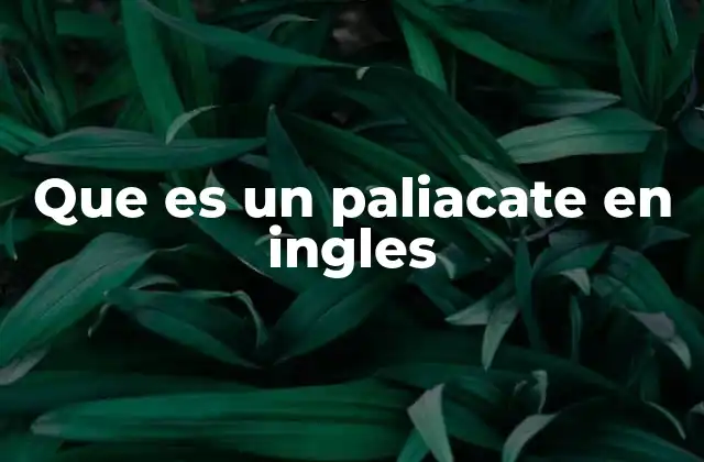 Que es un Paliacate en Ingles