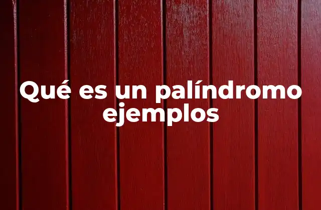 Qué es un Palíndromo Ejemplos