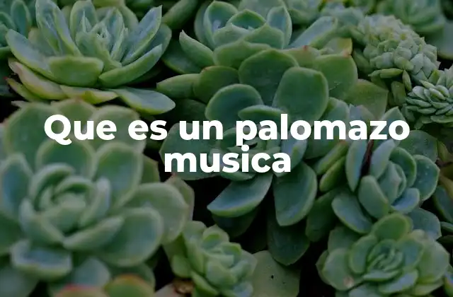 Que es un Palomazo Musica