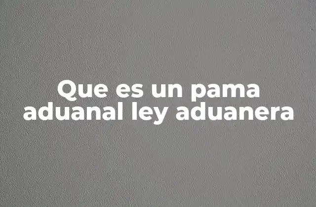 Que es un Pama Aduanal Ley Aduanera