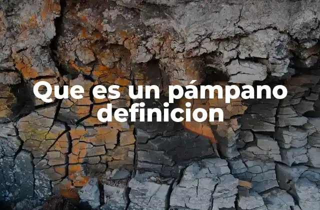 Que es un Pámpano Definicion