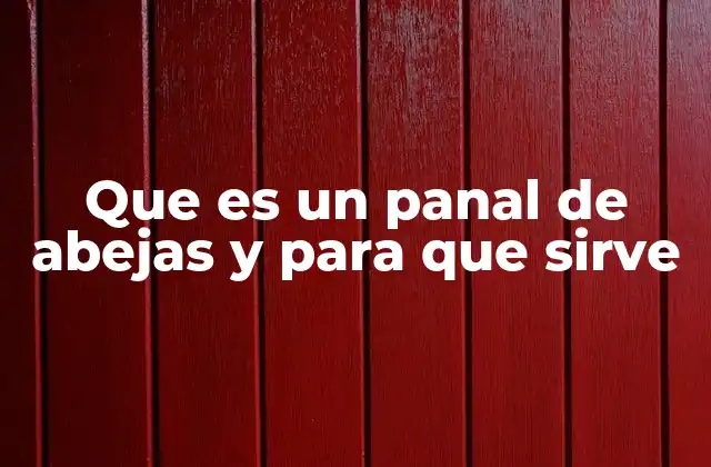 Que es un Panal de Abejas y para que Sirve 2 La importancia del panal en la vida de la colmena