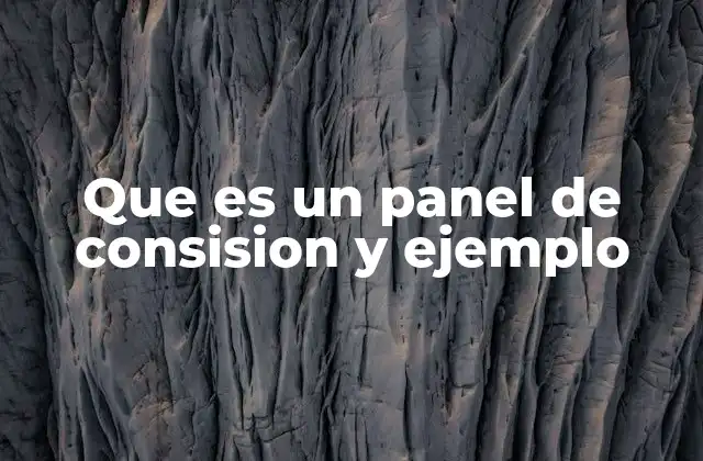 Que es un Panel de Consision y Ejemplo