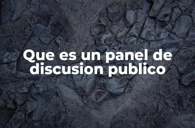 Que es un Panel de Discusion Publico