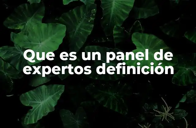 Que es un Panel de Expertos Definición