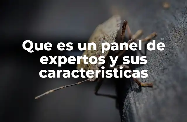 Que es un Panel de Expertos y Sus Caracteristicas