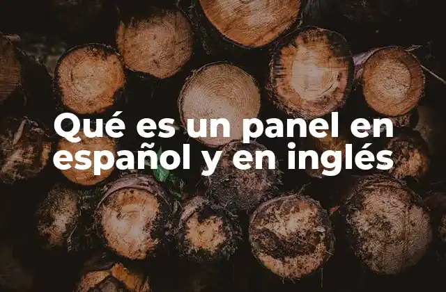 Qué es un Panel en Español y en Inglés