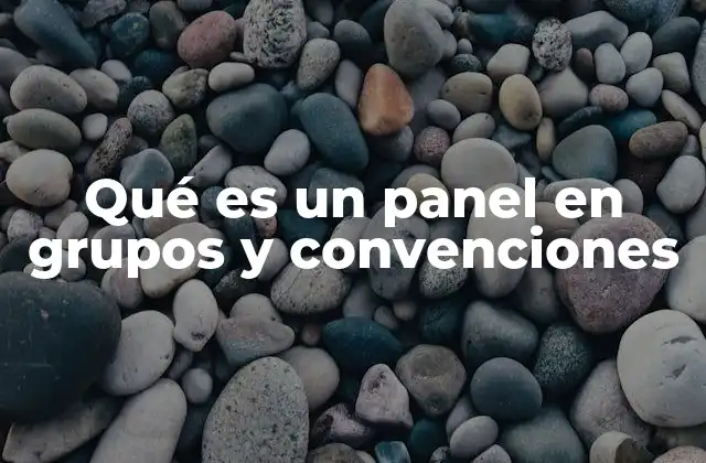 Qué es un Panel en Grupos y Convenciones