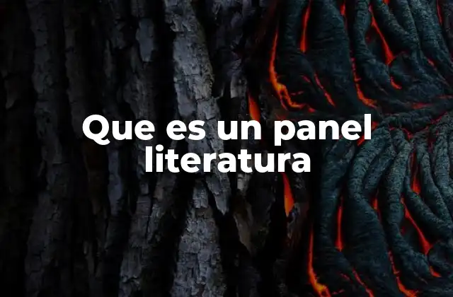 Que es un Panel Literatura