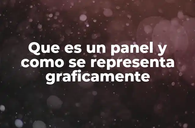 Que es un Panel y como Se Representa Graficamente