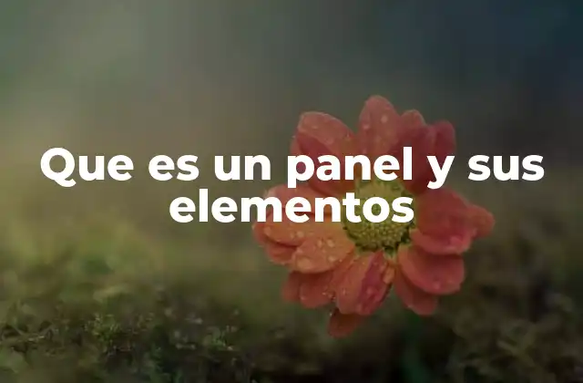 Que es un Panel y Sus Elementos