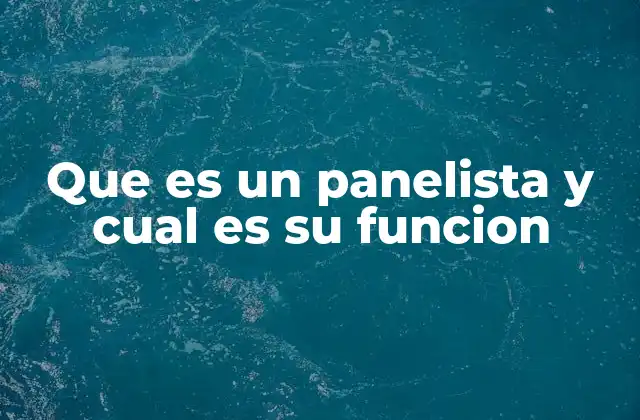 Que es un Panelista y Cual es Su Funcion