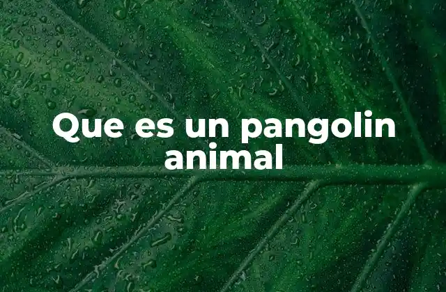 Que es un Pangolin Animal 16 Características únicas del pangolín