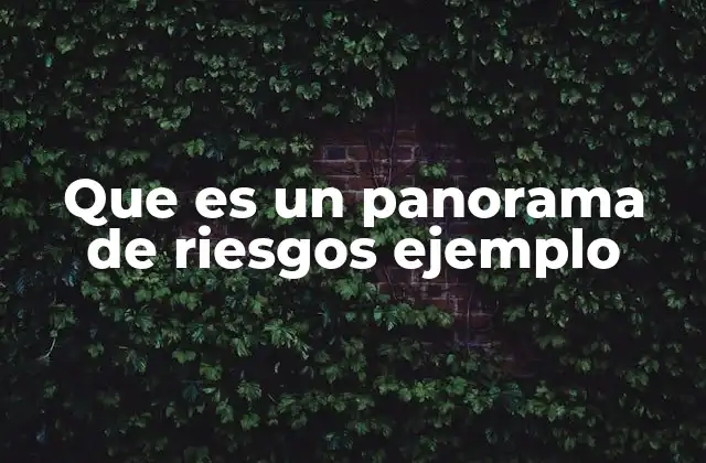 Que es un Panorama de Riesgos Ejemplo 2 La importancia de visualizar los riesgos