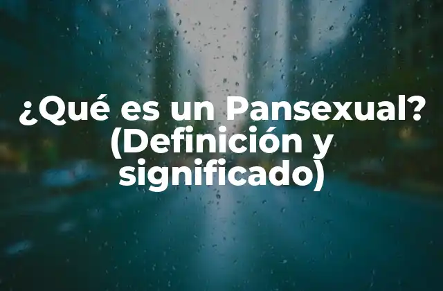 ¿qué es un Pansexual? (definición y Significado)
