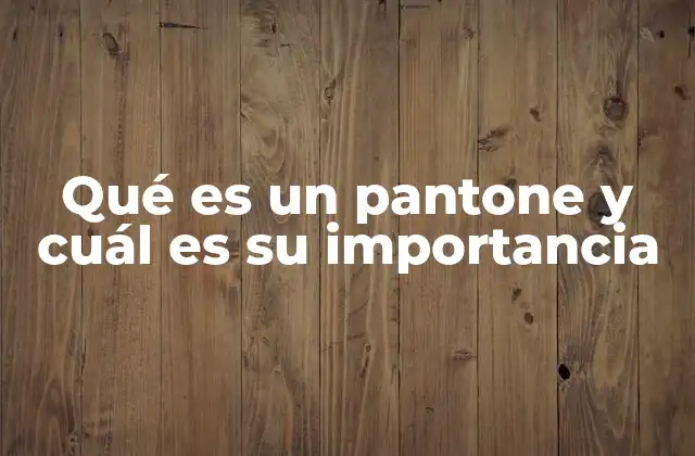 Qué es un Pantone y Cuál es Su Importancia