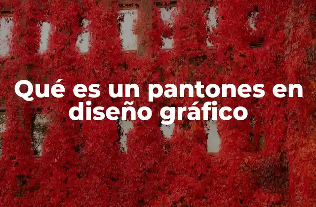 Qué es un Pantones en Diseño Gráfico