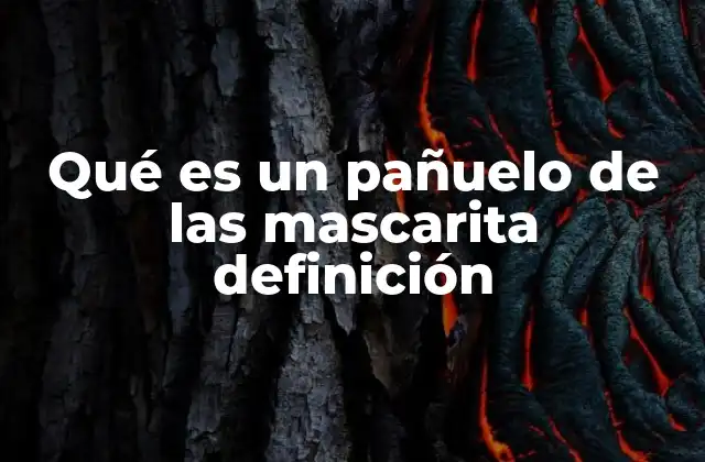 Qué es un Pañuelo de las Mascarita Definición