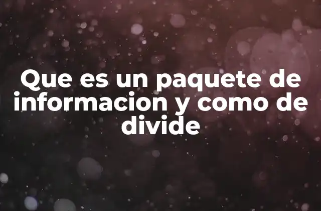 Que es un Paquete de Informacion y como de Divide