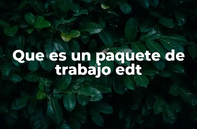 Que es un Paquete de Trabajo Edt