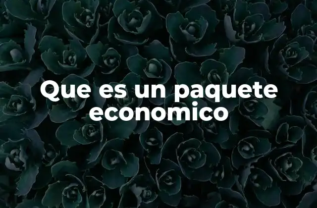 Que es un Paquete Economico