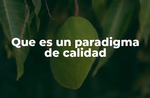 La importancia del paradigma de calidad en la gestión empresarial