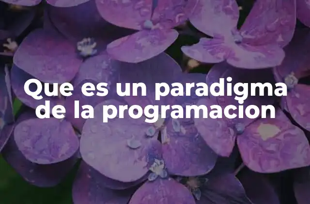 Que es un Paradigma de la Programacion